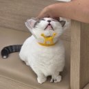 키다리동물병원 이미지