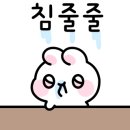 평화김해뒷고기대구성서점 네이버블로그
