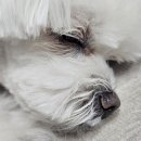 하나로365약국 이미지