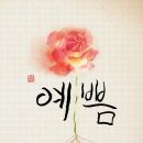 레인보우멀티샵 네이버블로그