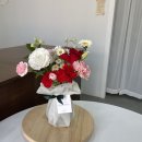 플로리그린 네이버블로그