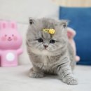 (주) 정글스토리 이미지