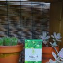 위즈코퍼레이션 이미지