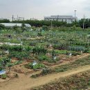 매호농장 이미지