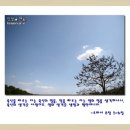 정명석 목사님 - 그 시대에 따른 법이다 이미지