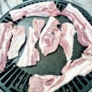 보성녹돈축산 이미지