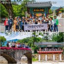 유림-1081 | 양산 통도사 울산 작천정 반구대 암각화 5월 밀양 선비문화체험 답사 여행 6곳