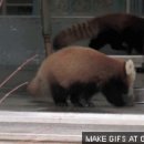 아빠의 부엌 이미지