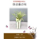 일향플라워