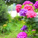 동평초등학교 이미지