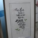 옥천군치매안심센터 이미지