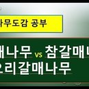 초록나무조경 이미지