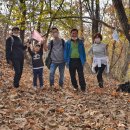 평화로(1) 이미지