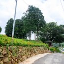 좋은마을 이미지