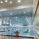 스윔(SWIM)21 이미지