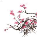 박희무 | 매화가 들려주는 봄소식