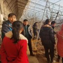 유한농장 이미지