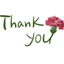 힐링 플라워 꽃꽂이 이미지