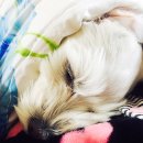 하이트광장 이미지