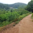 이씨네 민박 이미지