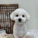 푸드르르 이미지