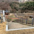 캠프닉아일랜드
