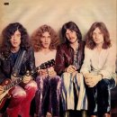 HEAVEN DOG 이미지