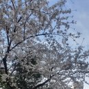 민경사 | 아이들과 함께 고봉산 등산(고양고봉누리길)