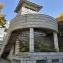 신나무실육교 이미지