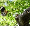 별빛뜨락 이미지