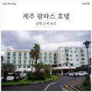 팜파스호텔제주 | 무지개 해안도로 아침 러닝 가능한 제주공항 팜파스 호텔! 하지만... 밤귀 밝다면 피하세요
