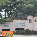 주식회사 베이원파크 | 애견동반 워터파크 원더풀도그베이 안성 | 강아지랑 여름휴가 갈만한곳 | 후기부터 꿀팁까지