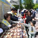 오리사랑 이미지