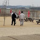 워킹애니멀스쿨 네이버블로그