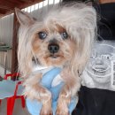 능곡파출소 이미지