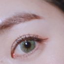 247핏(FIT) 이미지