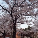 도원고등학교앞 이미지