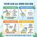 이걸 몰랐네…빗자루에 '비닐봉지' 씌우면 청소가 편해지는 이유 이미지