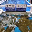 군산활어회 이미지