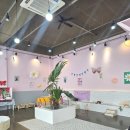 몽카롱 애견미용 이미지