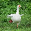 준현카 | 잡다한 은재 잡다한 일상 모음집