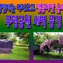 부평공원 이미지