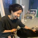 활짝