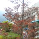 중앙하수처리장 이미지