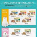 팬시마트
