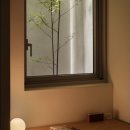 스테이7 이미지