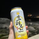 씨유신상 생레몬하이볼 속초에서 차박 감성으로 즐기기