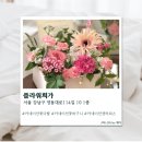 [강남] 강남꽃집 플라워희가 솔직후기