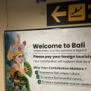 수미과일 | 여행(에카자야, coffee thyme, 펄선셋리조트, 펄선셋리조트 조식, 패들보드 선라이즈 투어, 수미사태 등)