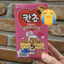 가현기획 | 칸초 이름 찾기 다시 도전 후기! 칸쵸 이름 리스트 공유